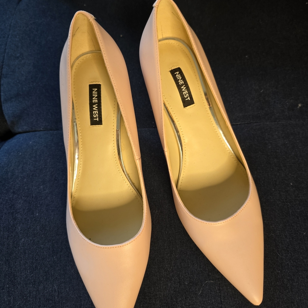 Nine West Blush Pointed-Toe Stiletto Pumps